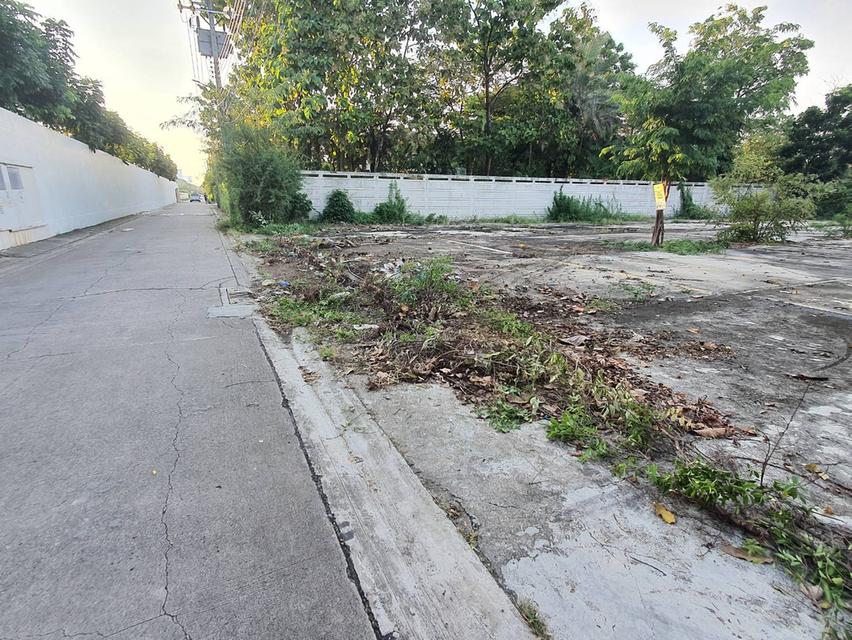 ขายที่ดิน 1 ไร่กรุงเทพกรีฑา, กรุงเทพ 5