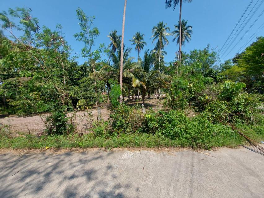 ที่ดินผืนใหญ่ใกล้ทะเล สำหรับคนที่ต้องการความเป็นส่วนตัว บ้านกรูด ประจวบคีรีขันธ์ 8