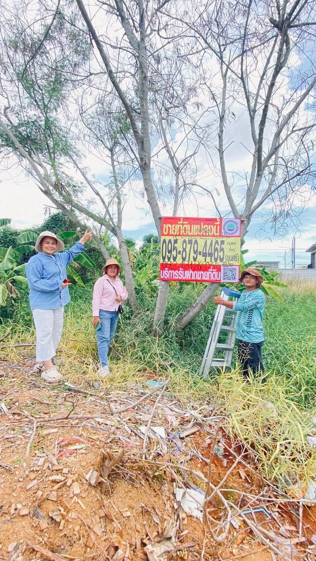 ขายถูกที่ดิน 163 ตารางวา ติดถนนคอนกรีต 2 ซอยคนรักถิ่น ปากเกร็ด นนทบุรี 1