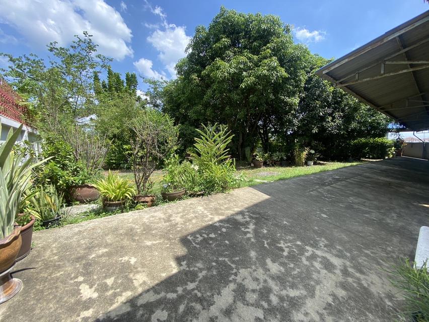 🏗🏢 ขายที่ดินพร้อมสิ่งปลูกสร้าง 2ไร่ 18ตร.วา ติดถนนใหญ่ (ปิ่นเกล้า-นครชัยศรี) 13