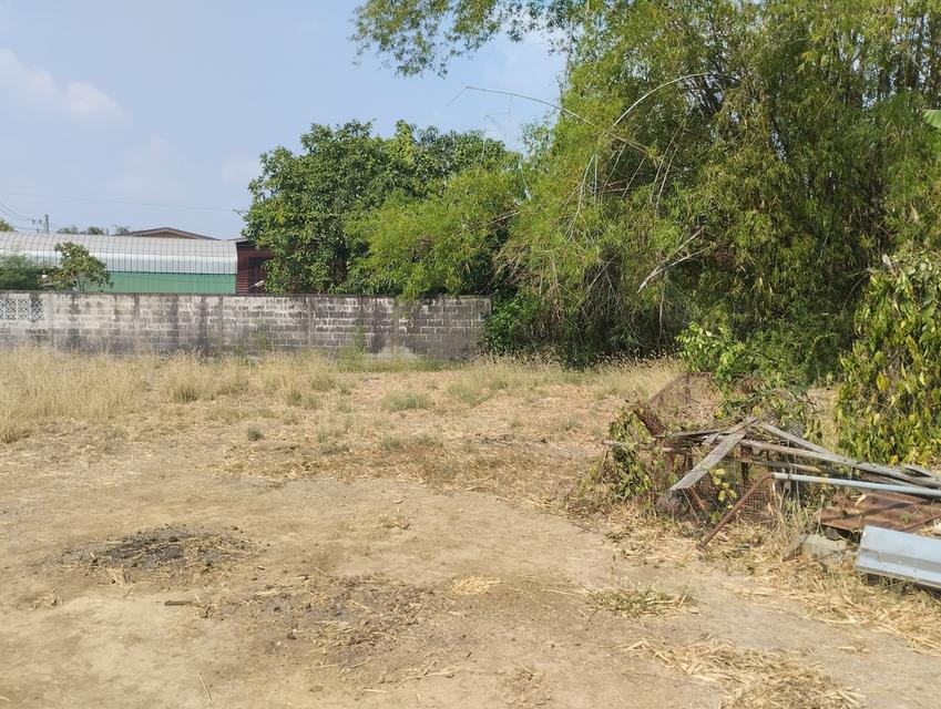 ที่ดินในตัวเมืองลพบุรี 5