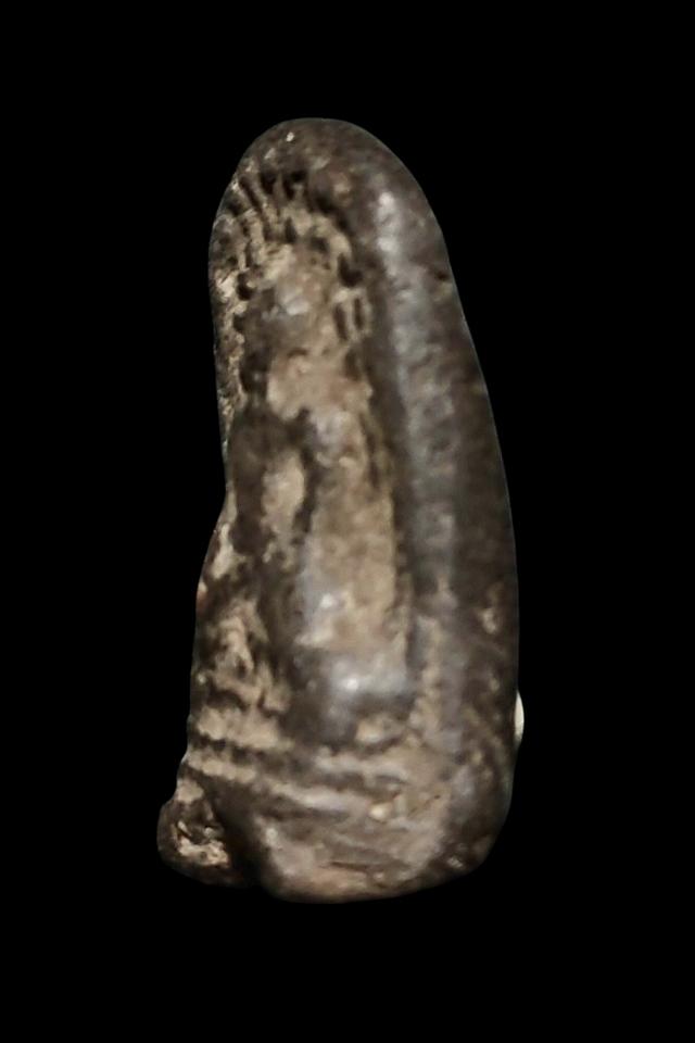 พระเกษาครูบาศรีวิชัย พิมพ์พระคง 3