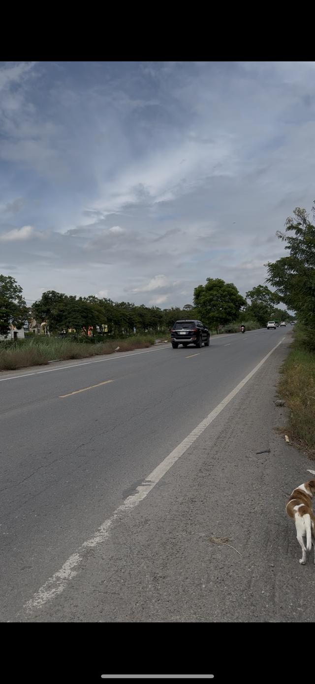 ขายด่วน!!! ที่ดิน 35 ไร่ คลองสาม ปทุมธานี