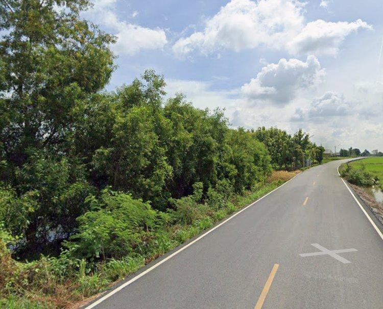 ขายที่ดินบางเตย 2 ไร่ ติดถนน2ด้าน ใกล้โรบินสันฉะเชิงเทรา 6 กม. อ.เมืองฉะเชิงเทรา 3