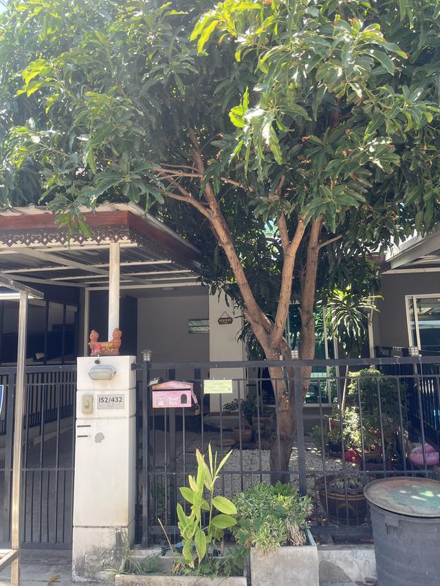 ทาวโฮม 2 ชั้น พกฤษาวิลล์ 67 7