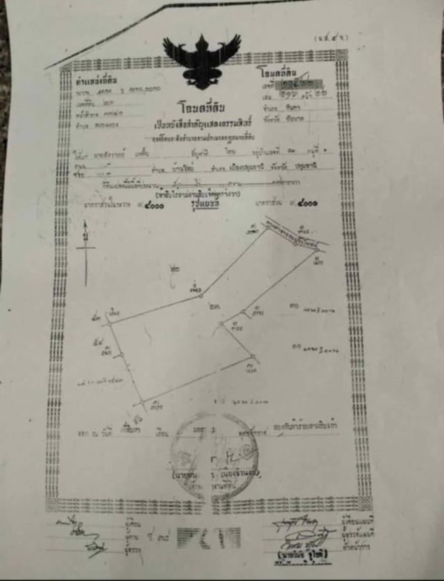 ที่ดิน 89ไร่ ไร่ละ 170,000 7