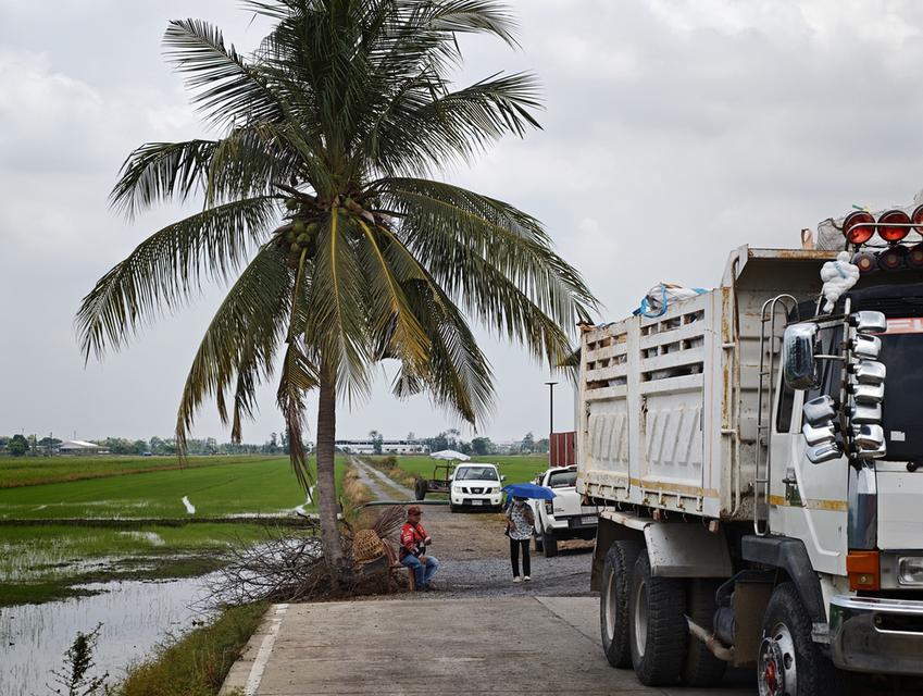 ที่ดิน 1 ไร่ คลอง 6 ปทุมธานี(ใกล้เส้น 352) 6