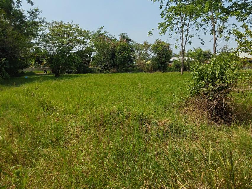 ที่ดินขอนแก่น 3 ไร่ 264ตร.วา 490,000บาท/ไร่ โซนท่าพระ-ดอนหัน อ.เมือง 4