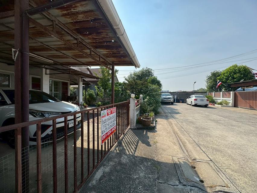 ขายบ้านเดี่ยว หนองจอก **ราคาพิเศษ บ้านร่มรื่นน่าอยู่** (N.2072) 1