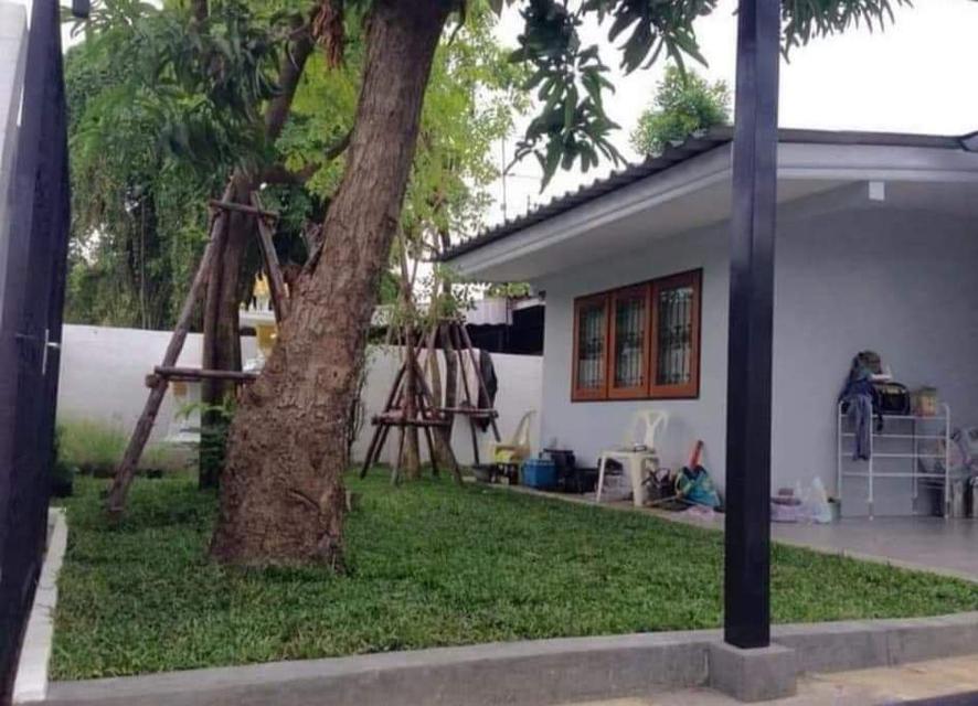 ขายบ้านโชคชัย4 ลาดพร้าว