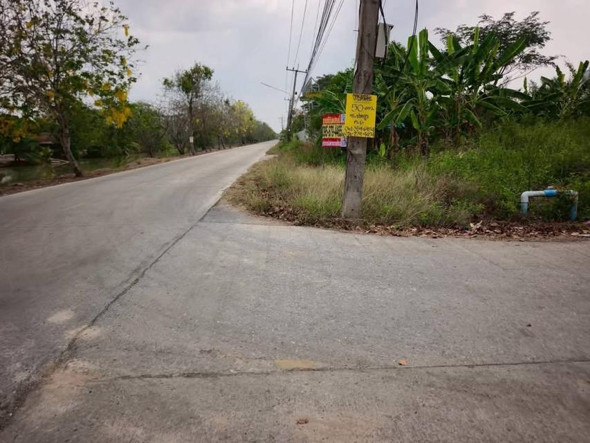 ขายด่วนที่ดิน 156 ตารางวา ติดถนนสาธารณะ แปลงมุม คลองหกตะวันตก 69 คลองหลวง ปทุมธานี 2