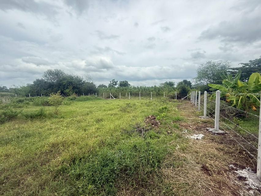 ที่ดินจำนวน 1 ไร่ อู่ทอง สุพรรณบุรี 5