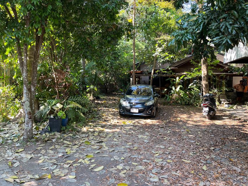 ที่ดินพร้อมบ้าน จำนวน 1 ไร่ มี 2 โฉนด 6