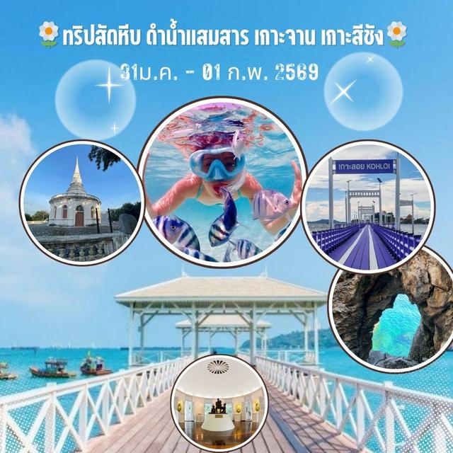 ทริปสัตหีบ – ดำน้ำแสมสาร – เกาะจาน – เกาะสีชัง