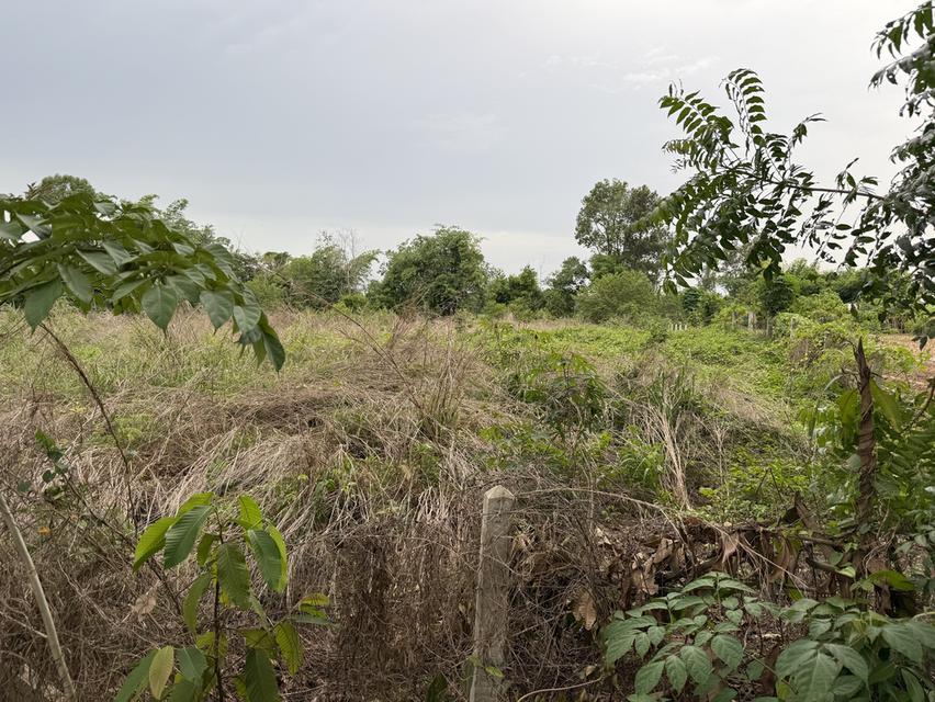 ขายที่ดิน โฉนด พร้อมโอนทำเลดี 5