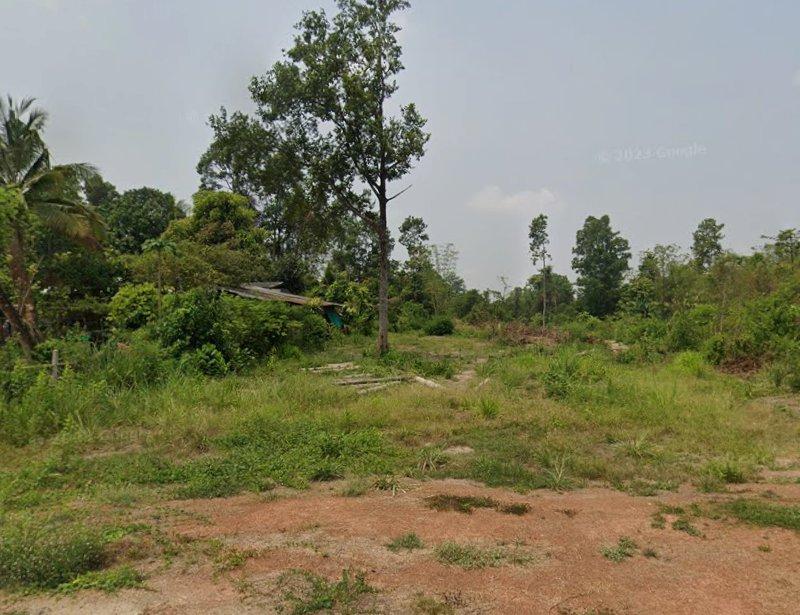 ขายที่ดินท่าถ่าน 2 ไร่ ติดถนนลาดยาง ใกล้ถนนเส้น319-1.1กม. อ.พนมสารคาม ฉะเชิงเทรา 4