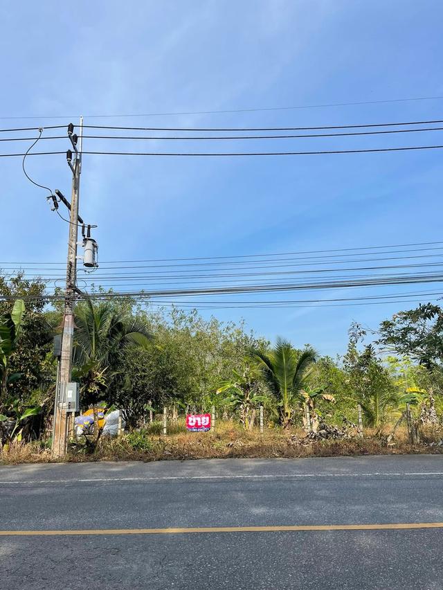ขายที่ดิน ต้อง.ปาดังเบซาร์ อ.สะเดา จ.สงขลา 2