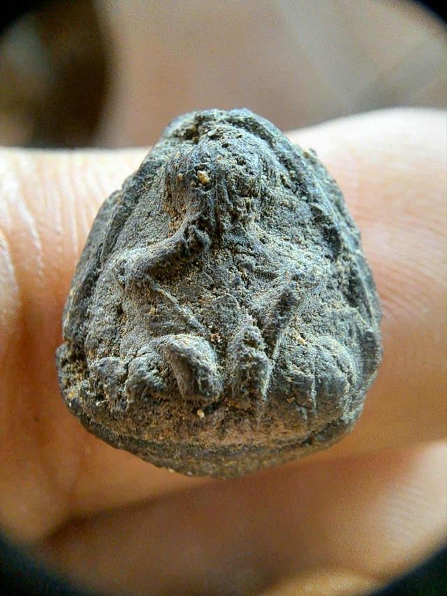 พระปิดตาหลวงพ่อพริ้ง วัดบางประกอก(หายากมาก) ประกันพระแท้ พระกันพระ