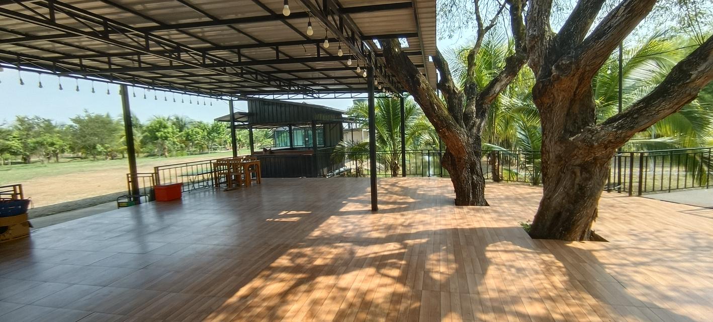 บ้านสวนพร้อมที่ดินสวย 14