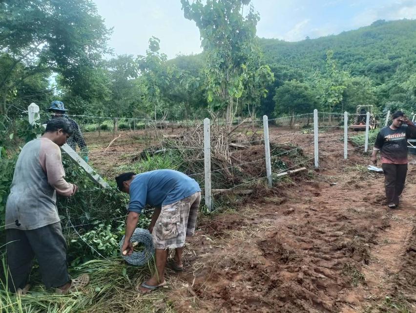 ที่ดินประจวบคีรีขันธ์ (วิวภูเขา) 7