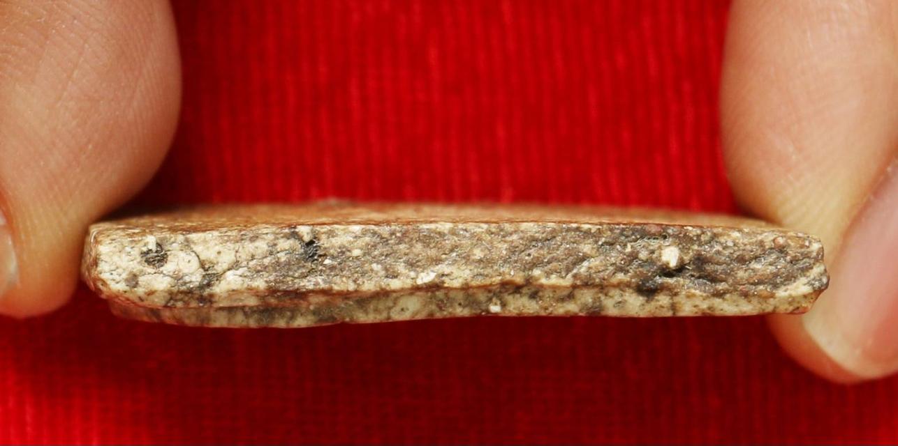 พระสมเด็จวัดระฆังโฆษิตาราม