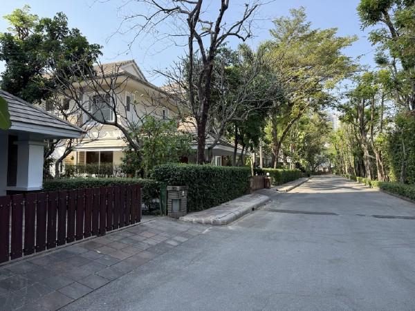 ให้เช่าบ้านเดี่ยวหรูพูลวิลล่า สุขุมวิท 36 ใกล้ BTS ทองหล่อ เพียง 310 เมตร 2
