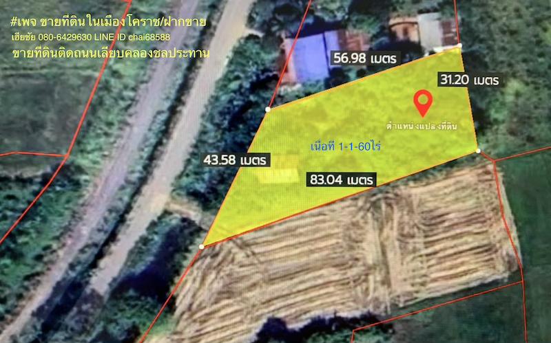 ขายที่ดินบายพาส 1-1-60ไร่ ใกล้ห้างไทวัสดุ โฮมโปรบายพาส ใกล้ถนนบายพาส ทล.204 เหมาะพัฒนาเป็นบ้านสวน 5