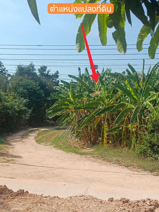 ที่ดิน น่าลงทุน รับดอกเบี้ย 1.25 % / เดือน มีหลักทรัพย์ ค้ำประกัน 8