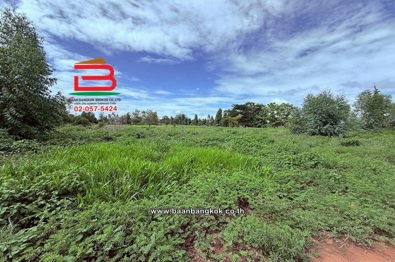 ที่ดินพร้อมกิจการ เนื้อที่ 21 ไร่ ใกล้ PT สาขาเชียงยืน 4 (ติดกับถนนขอนแก่น-โพนทอง) ตำบลเชียงยืน อำเภอเชียงยืน มหาสารคาม 12