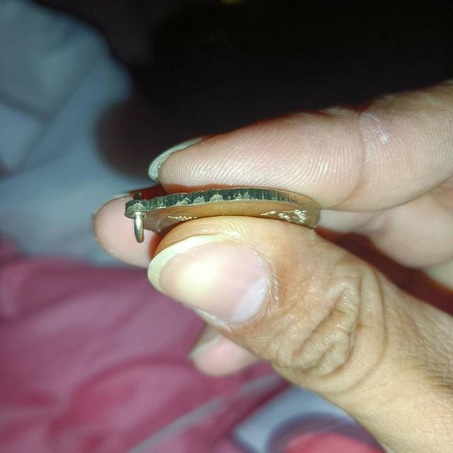 เหรียญงูเล็ก-(เนื้อเงินกะไหล่ทองแดง)หลวงพ่อเอีย วัดบ้านด่าน จังหวัดปราจีนบุรี รุ่นสุดท้าย ปี พ.ศ. 2521 รูปที่ 3