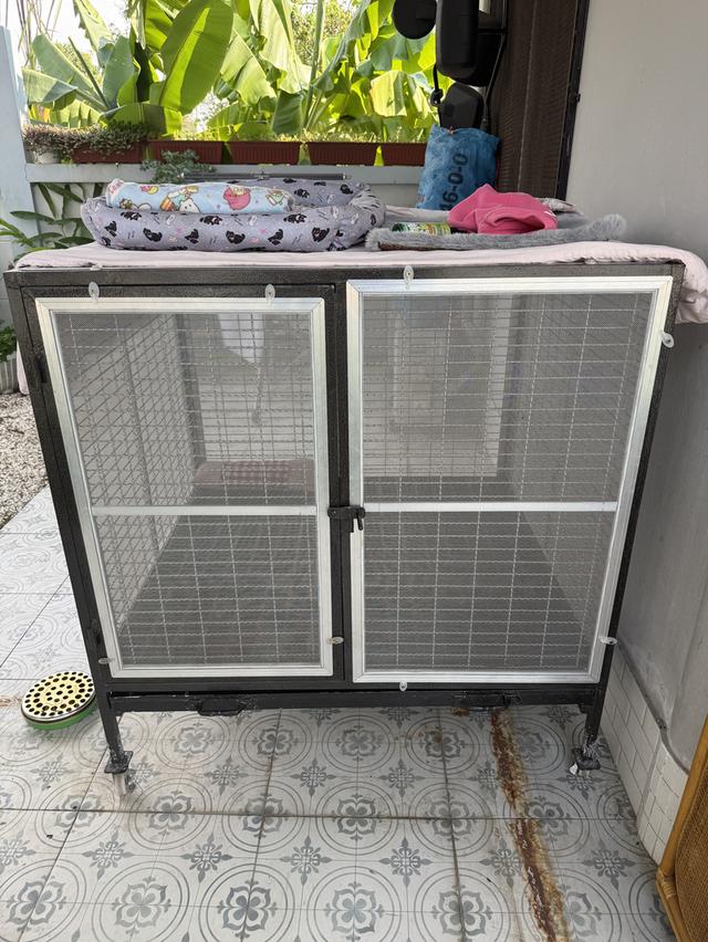 บ้านสุนัขมือสองในชลบุรี 1