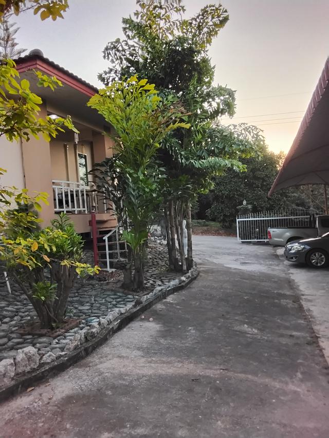 ขายบ้านพร้อมรีสอร์ทบนเนินสวย เนื้อที่2ไร่  ต.นาตาขวัญ อ.เมืองจ.ระยอง 2