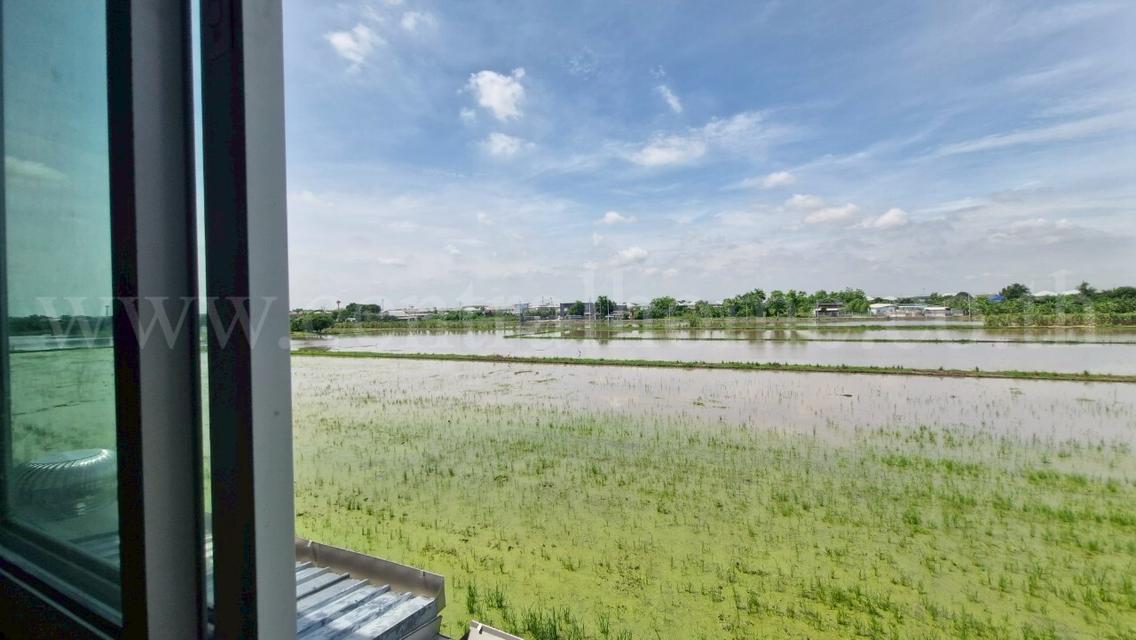 ทาวน์โฮม เพอร์เฟค โซน รังสิต - คลองสาม หน้าบ้านติดสวน  13