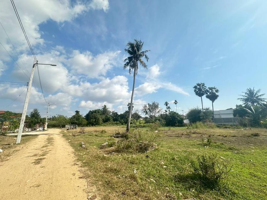 ขายด่วนที่ดินห้วยใหญ่ - ทุ่งละหาร ชลบุรี 3