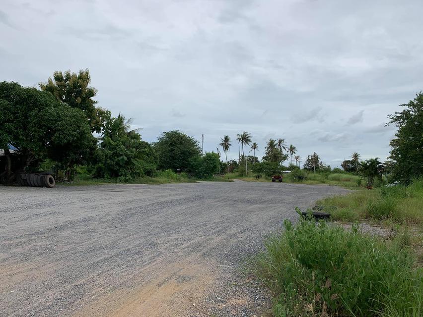 ขายที่ดินหนองมะนาว ซอยทุ่งกราด 4 ไร่ ถมแล้วติดถนนคอนกรีต ใกล้ถ.สุขุมวิท(3)-2 กม. ใกล้ท่าเรือแหลมฉบัง-8 กม. ชลบุรี 2