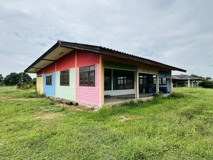 ขายที่ดิน หนองแซง สระบุรี ถมแล้ว 1.2ล้าน/ไร่ 13