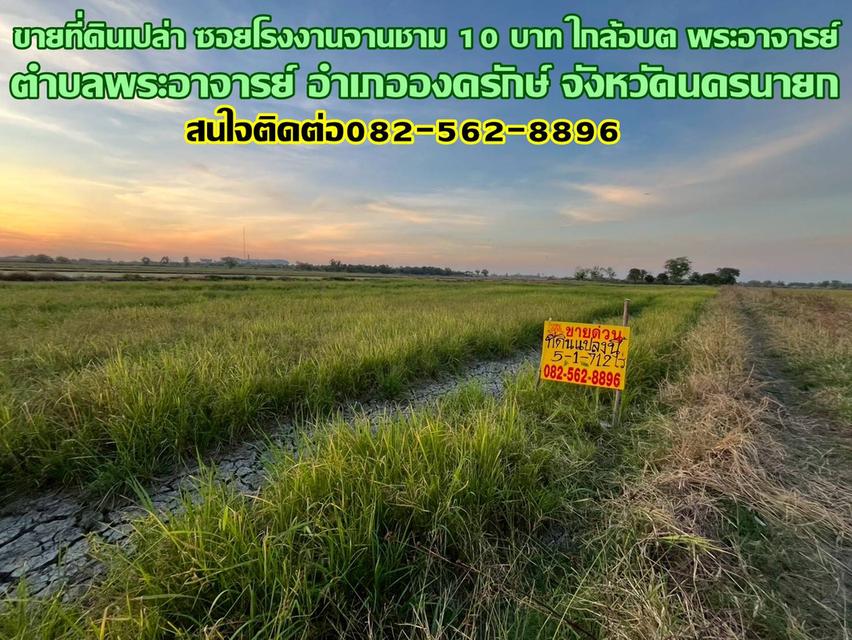 ขายที่ดินเปล่า ซอยโรงงานจานชาม 10 บาท ใกล้อบต พระอาจารย์ 1