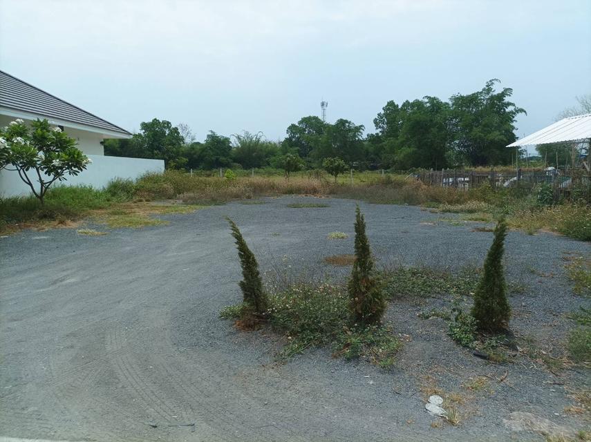 ขายที่ดิน95ตร.ว. ต.แม่คือ อ.ดอยสะเก็ด จ.เชียงใหม่ 16
