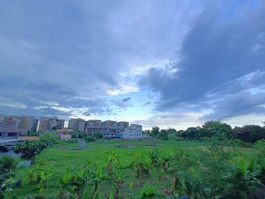 ให้เช่าทาว์นโฮม 3 ชั้นThe Private Sukhumvit 97/1ทำเลดีมาก ใกล้ทางด่วนสุขุมวิท 62, ใกล้รถไฟฟ้าBTS 4