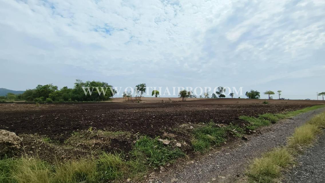 ที่ดินติดถนน ต.ดอนดึง อ.บ้านหมี่ จ.ลพบุรี 2