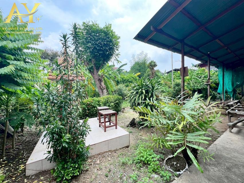 ขายที่ดิน ใกล้ถนนกรุงเทพ-นนท์ นนทบุรี เนื้อที่202ตรว.ขายเพียง 45,000/ตรว 6