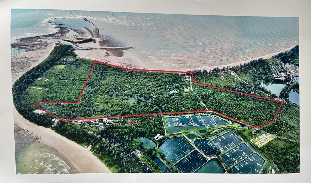 ที่ดินติดทะเล พังงา เขาหลัก หาดแหลมปะการัง ใกล้โครงการ มาทะเล 1