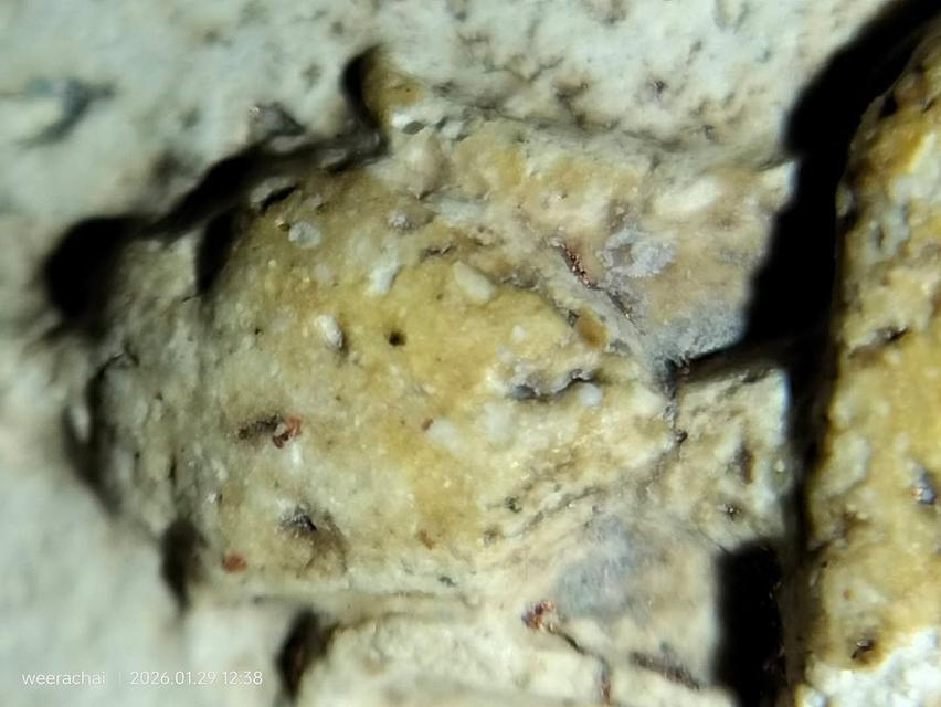 พระสมเด็จวัดระฆังพิมพ์เกศบัวตูม รูปที่ 13