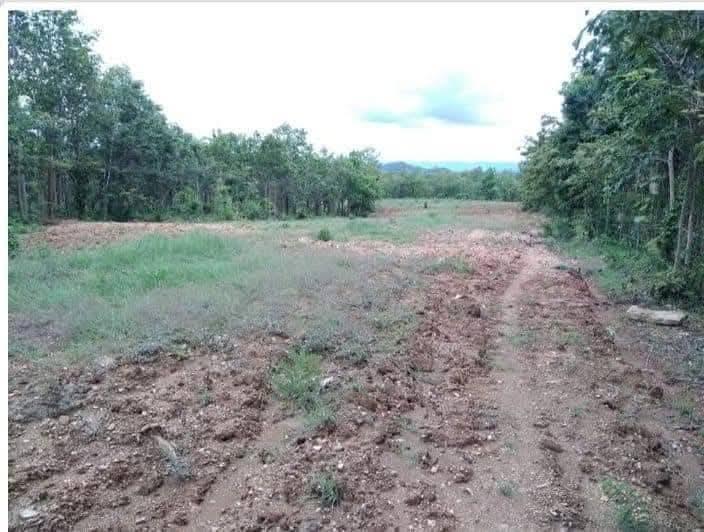 ที่รอออกเอกสารสิทธิ์15ไร่ ยกแปลง800,000วิวเขาติดถนนสาธารณะ รถเก๋งขับเข้าถึงที่ได้เลย ลักษณะที่เป็นเนินสโลบสวยมากค่ะ ติดกับวัดป่านิสโภ(มีลำห้วยกั้น) ห่ 7