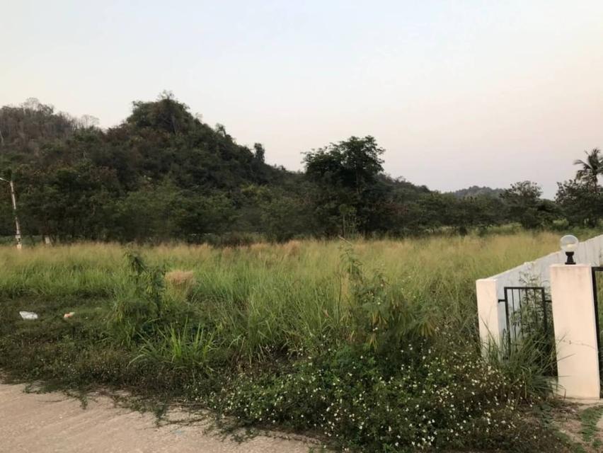ที่ดิน 1 ไร่ วิวภูเขา สัตหีบ 4