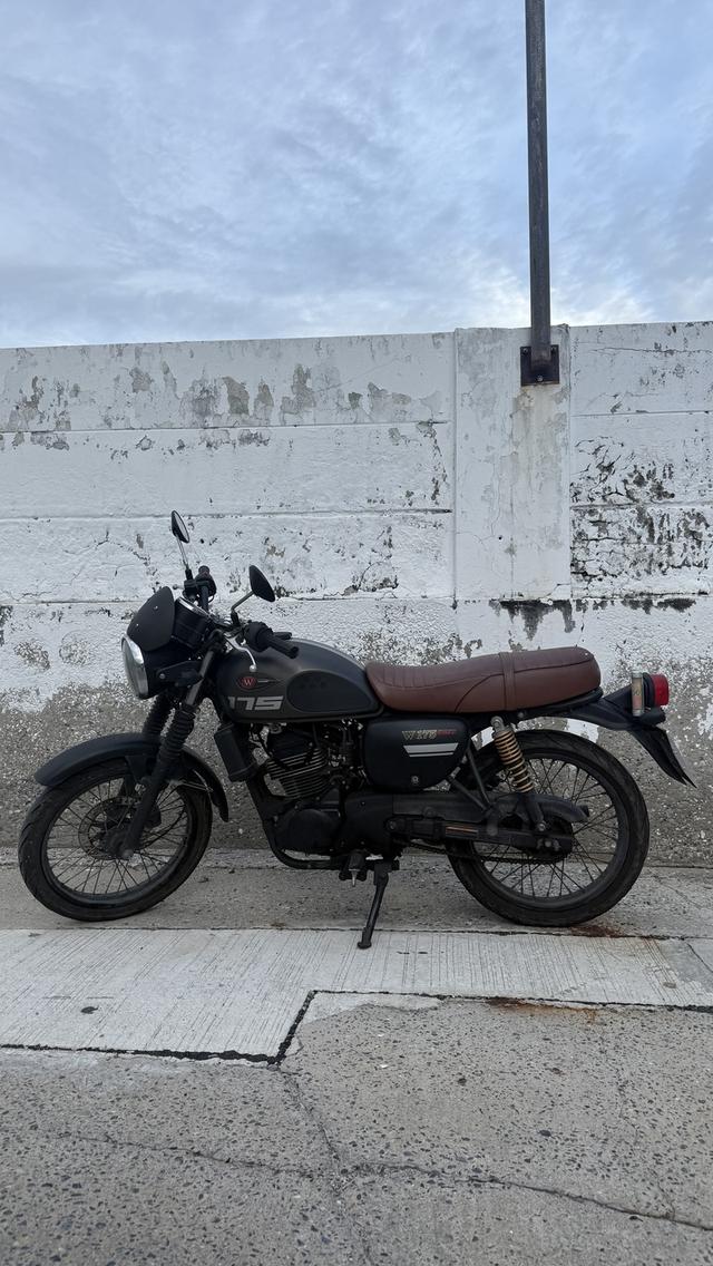 Kawasaki W175 Cafe 2019