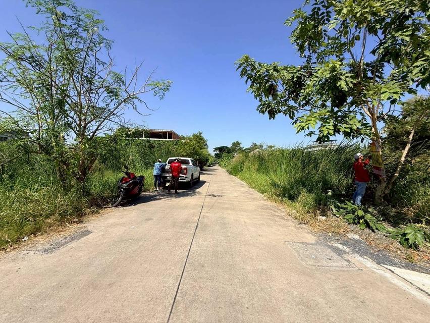 Vายด่วน ที่ดินใกล้มอเตอร์เวย์ 80 ตารางวา แปลงมุม ติดถนนคอนกรีตสาธารณะ ซอยคลองสี่ 6 อ.คลองหลวง จ.ปทุมธานี 4