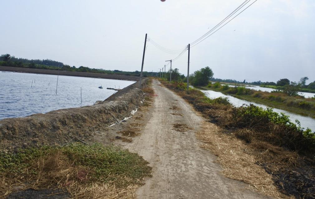 ขายที่ดินแปลงใหญ่ เพชรบุรี 200 ไร่