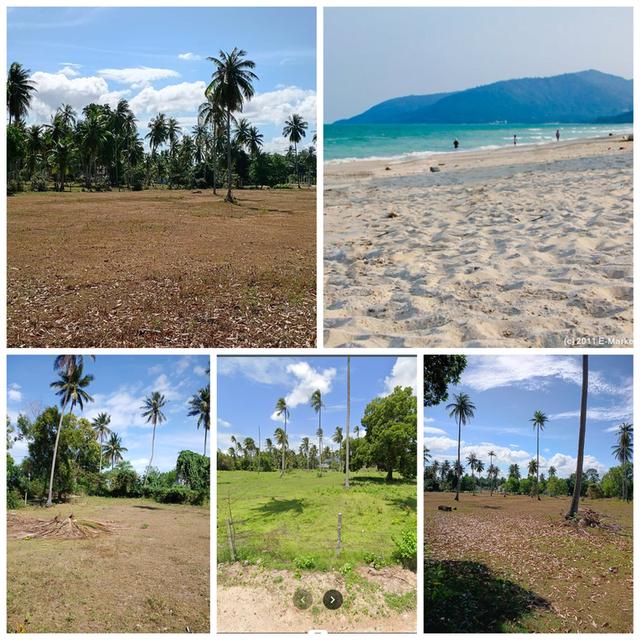 ที่ดินชายทะเล หาดหน้าด่าน ขนอม จ.นครศรีธรรมราช 1