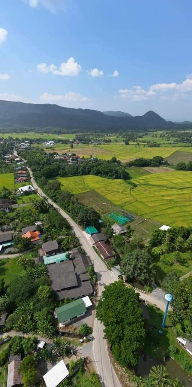 ขายที่ดิน ออนกลาง สันกำแพง 8